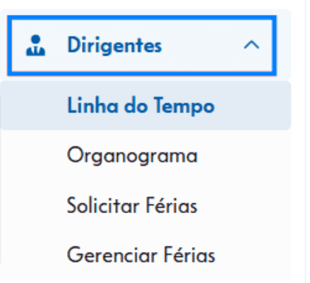 Visão geral do módulo Dirigentes
